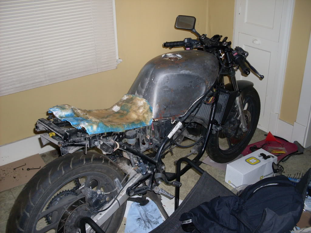 SDC10677.jpg
