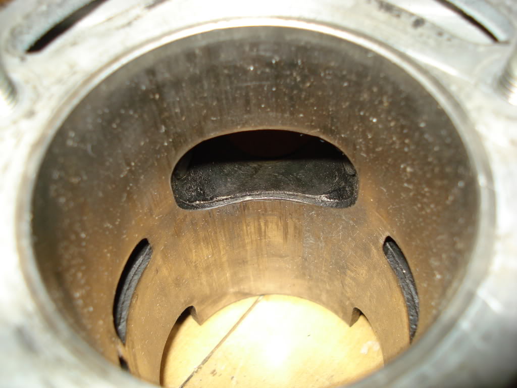 DSC02412.jpg