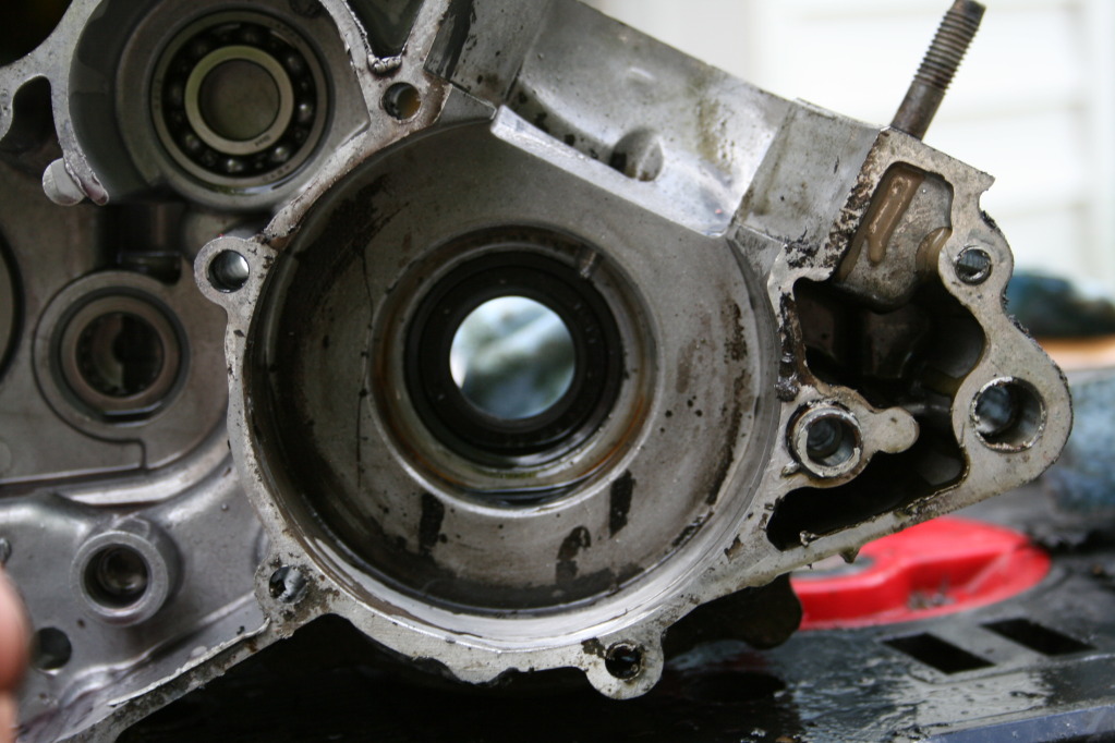 testscan811.jpg