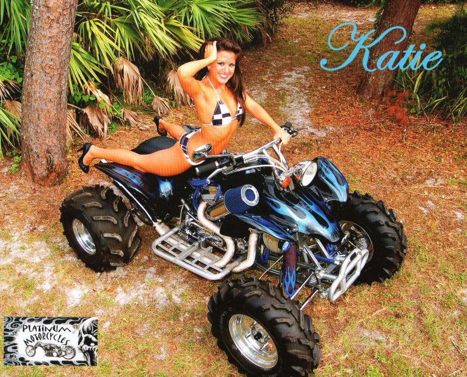 6272-Harley-Quad-Calender-Pic.jpg