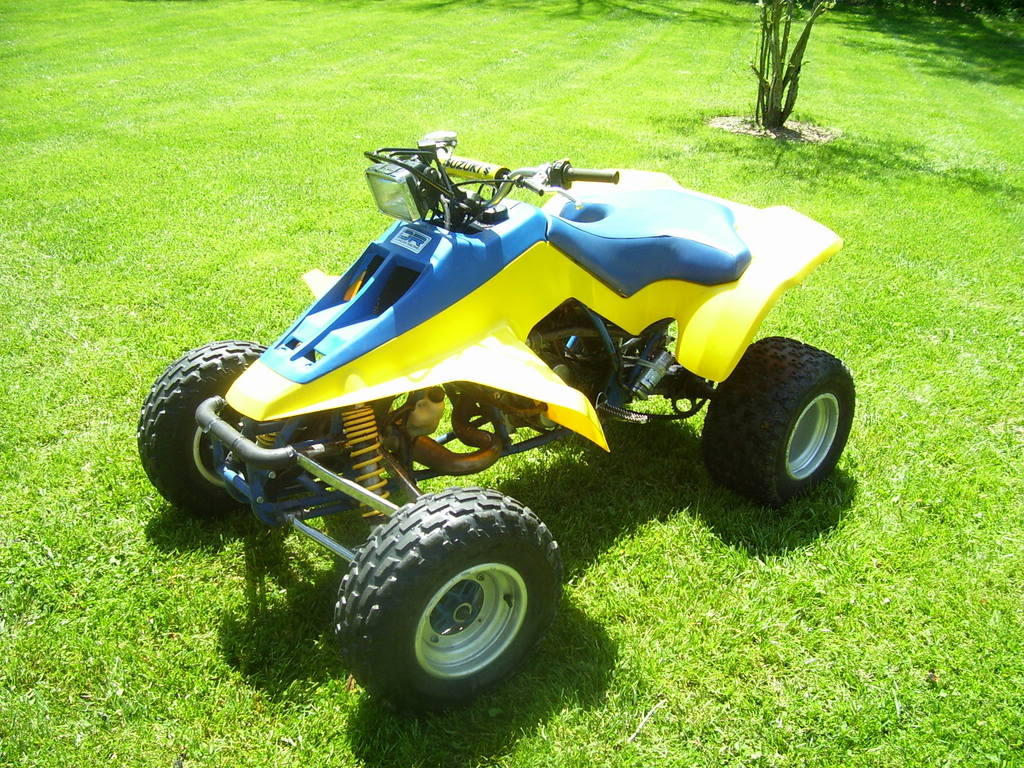 100_0555.jpg
