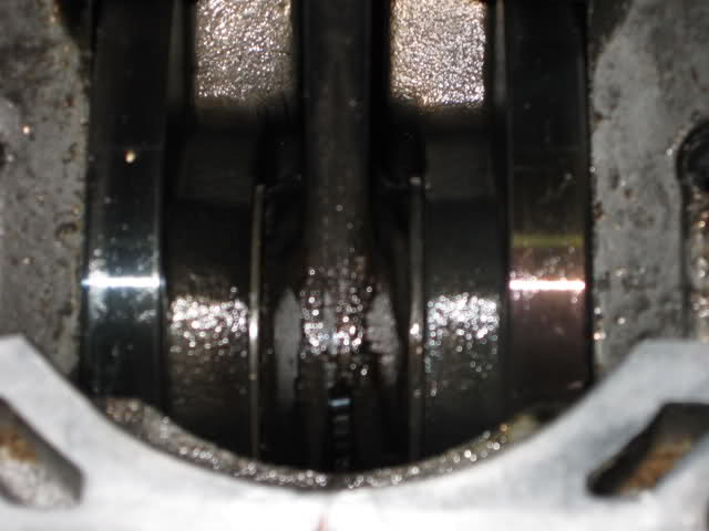 2646fyp.jpg