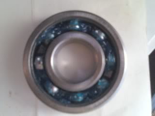 0424021525.jpg