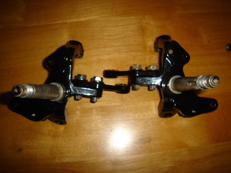 DSC02181-1.jpg