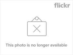 4184204434_d33c80e9f5_m.jpg