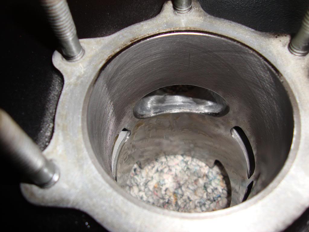 DSC03110.jpg
