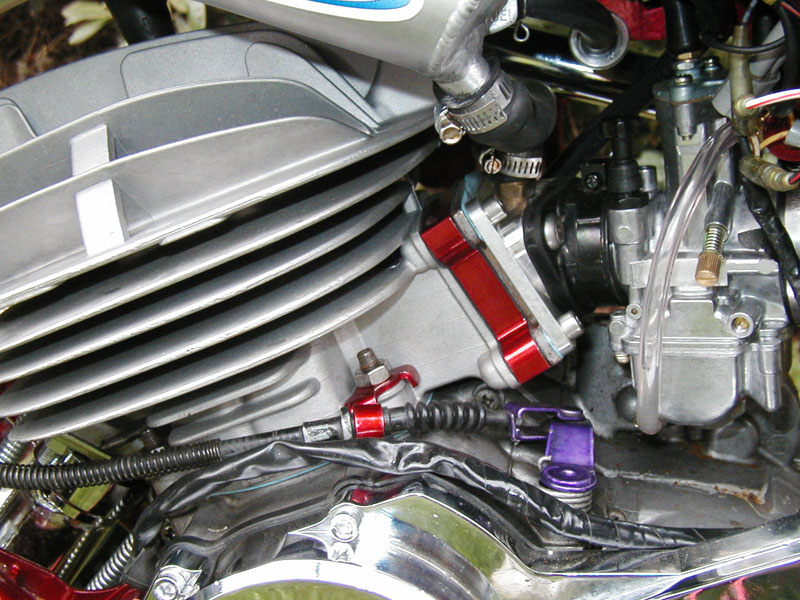 probikepic11.jpg