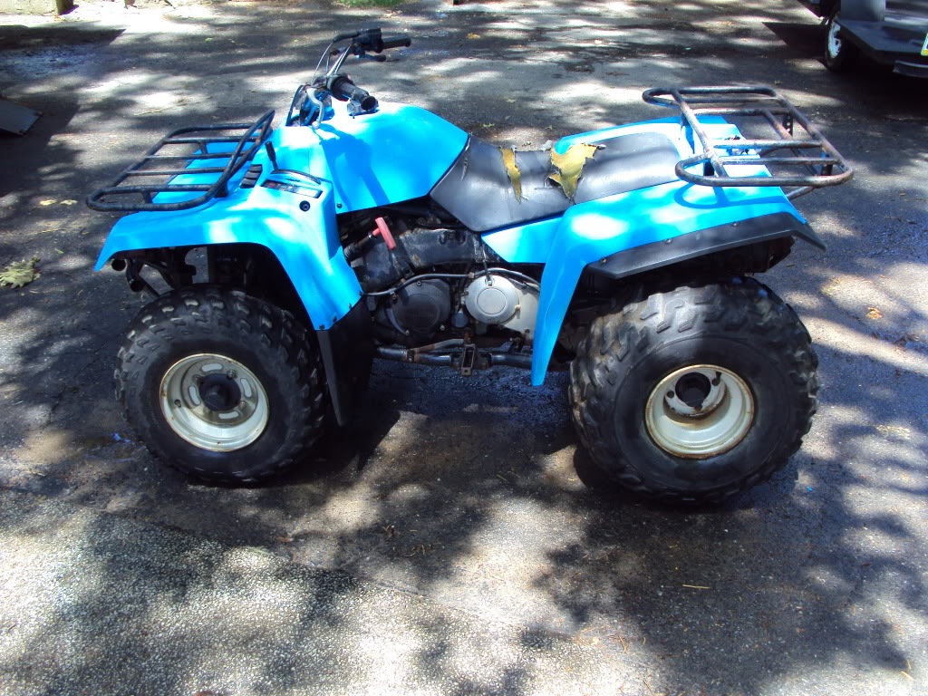 DSC00789.jpg
