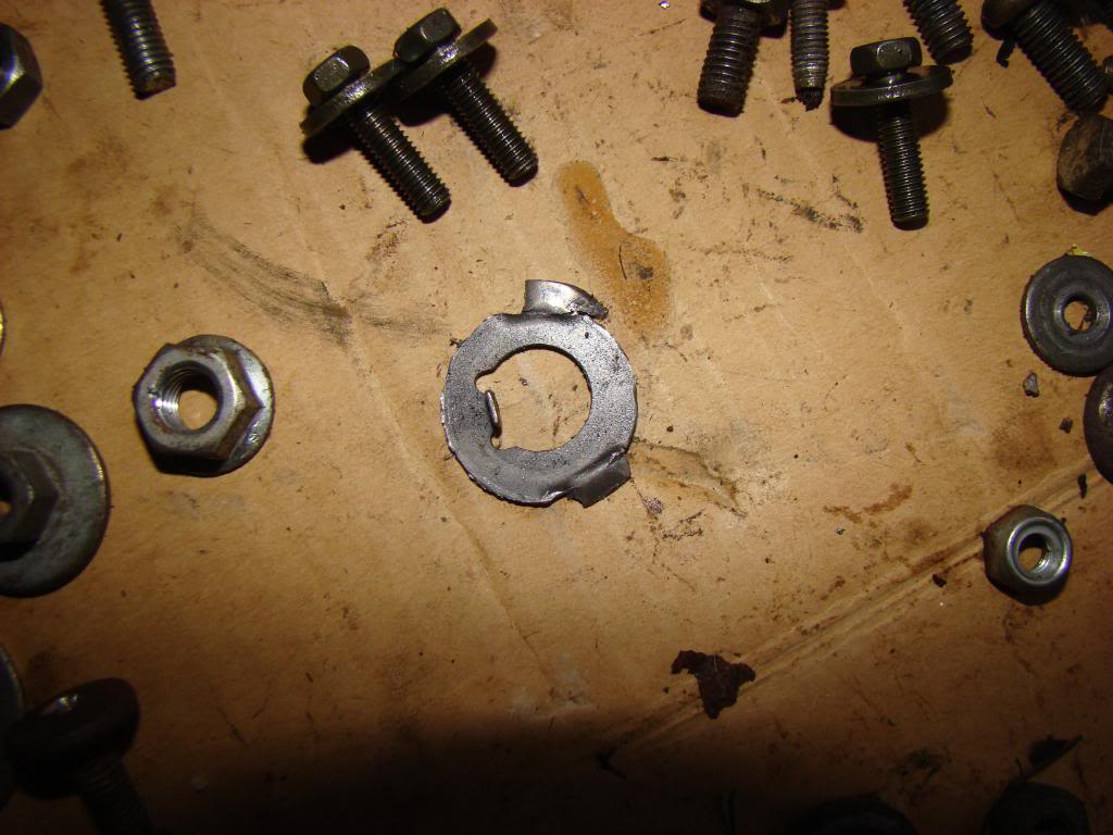 DSC06148.jpg