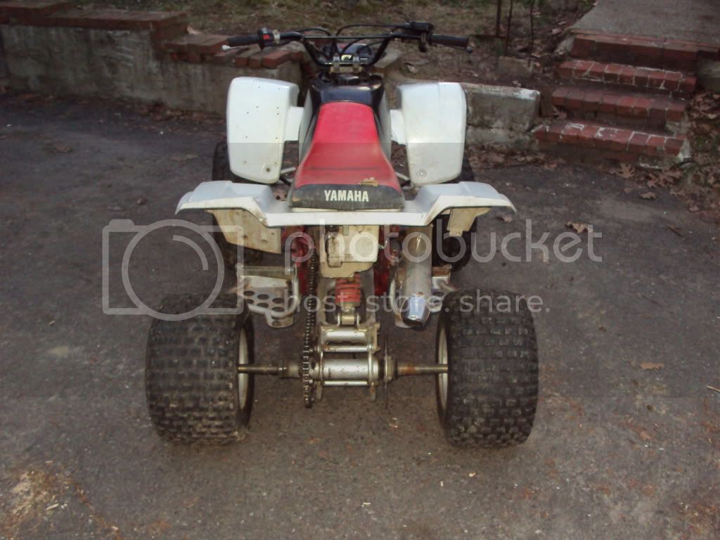 DSC00524.jpg
