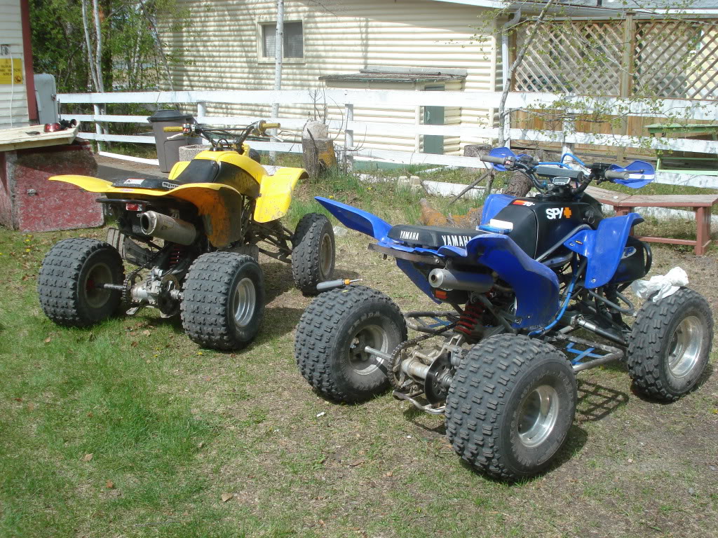 DSC02007.jpg