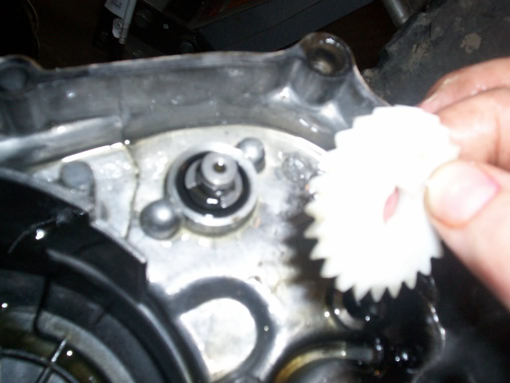 100_3698.jpg