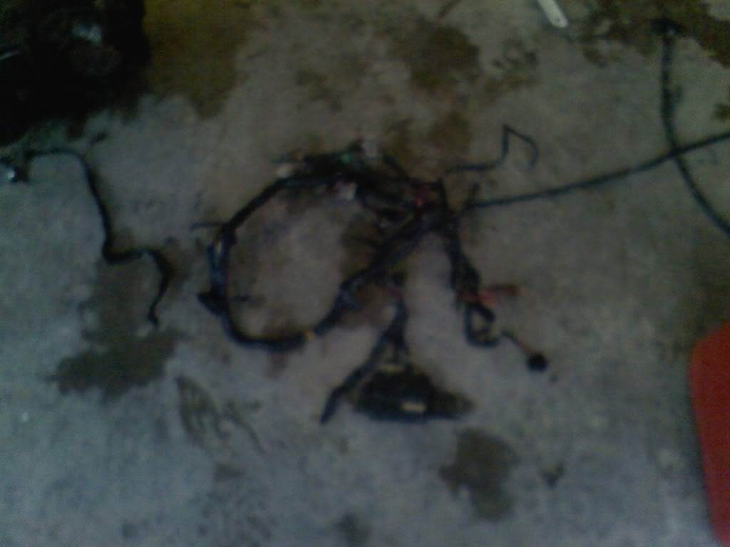 wiring.jpg