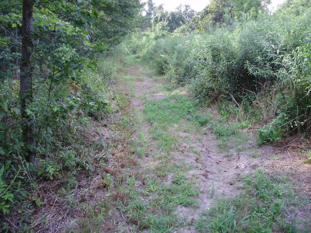 PC070005-1.jpg