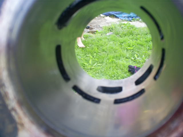 S5031612.jpg