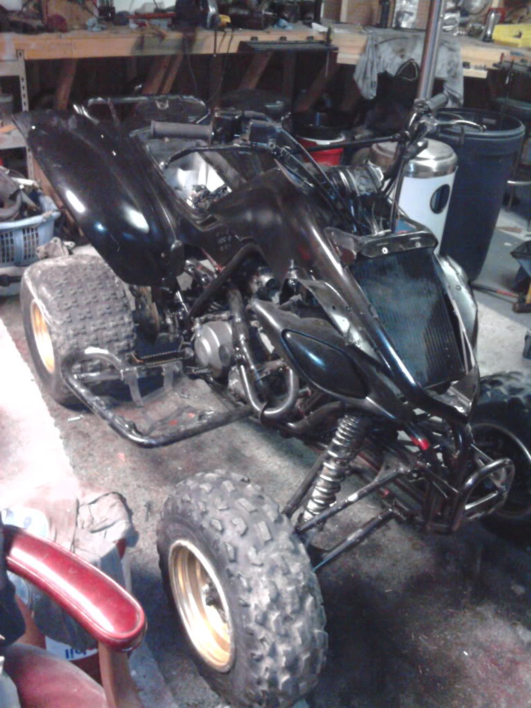 2012-01-30180812.jpg