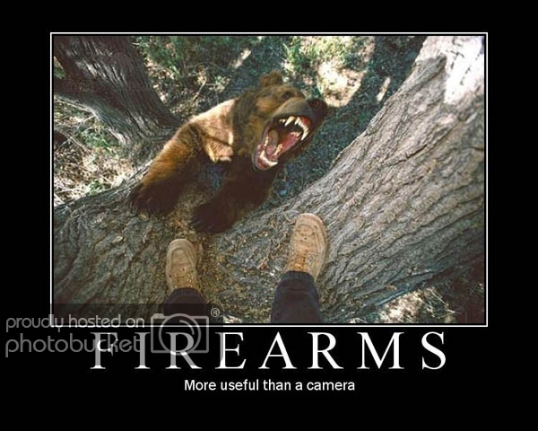 firearmsbear.jpg