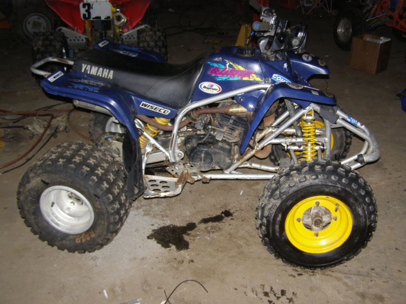 yammie012.jpg
