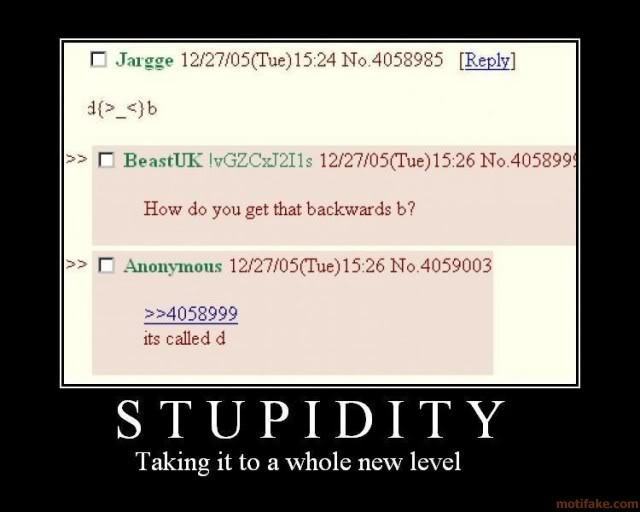 stupidity.jpg