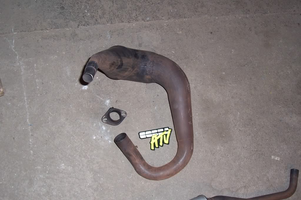 cobra2.jpg