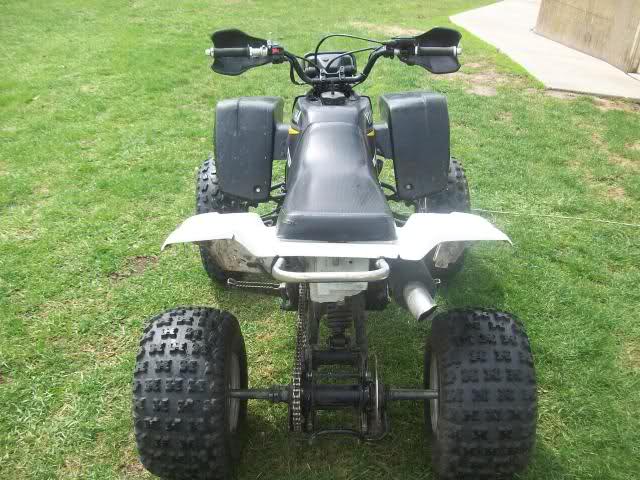 nox79i.jpg