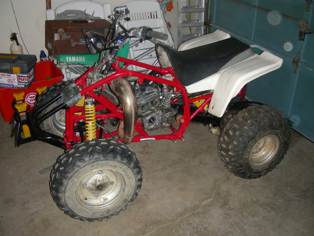 DSCN4484.jpg