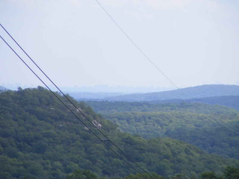 DSCF1013.jpg