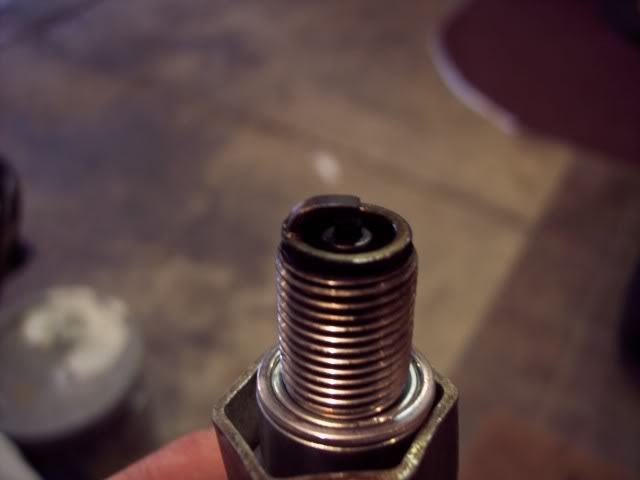 100_2865.jpg