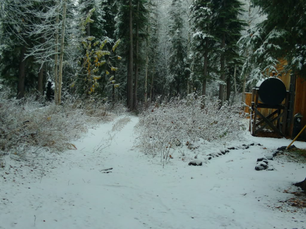 IMG00301.jpg