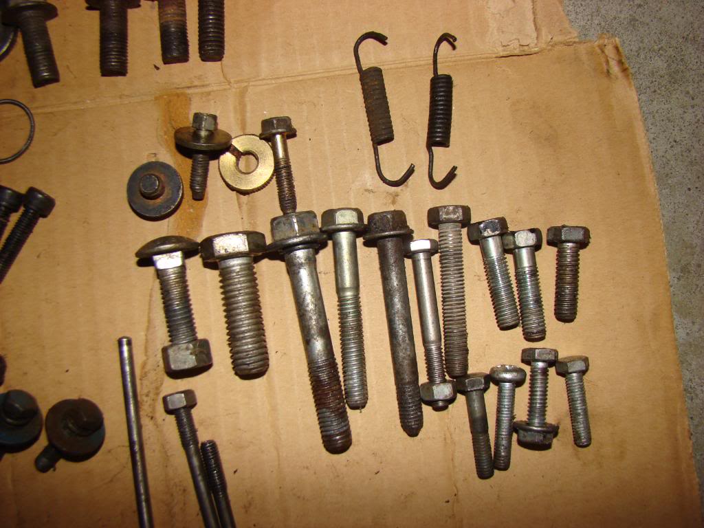 DSC06140.jpg