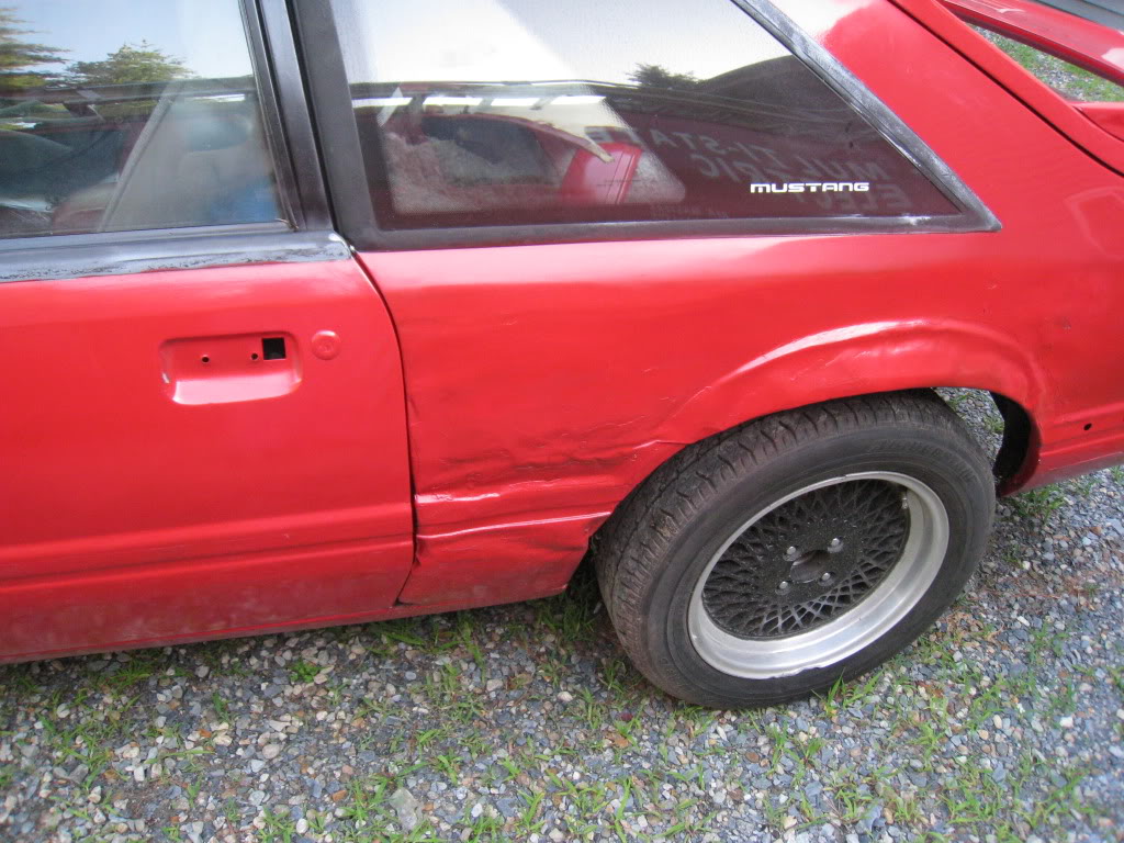 Mustang002.jpg