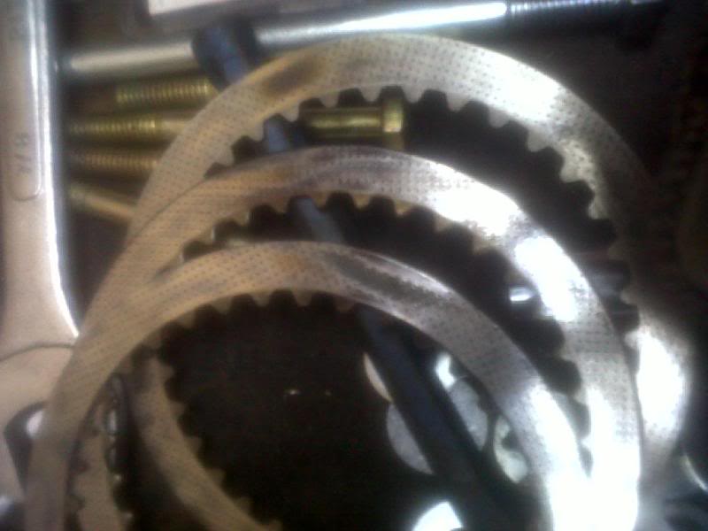 IMG00223-20110103-1639.jpg