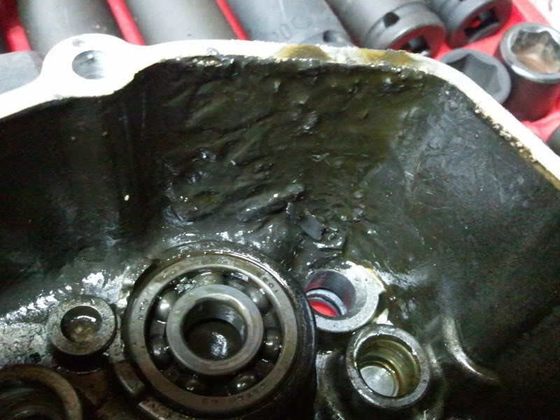 2010-10-08184357.jpg