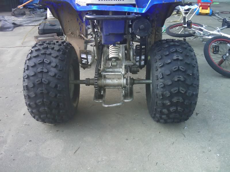 IMAG0172.jpg