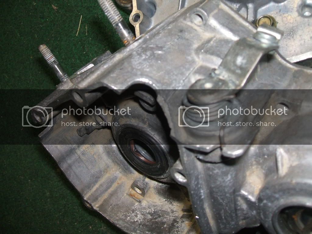 DSCF1857.jpg