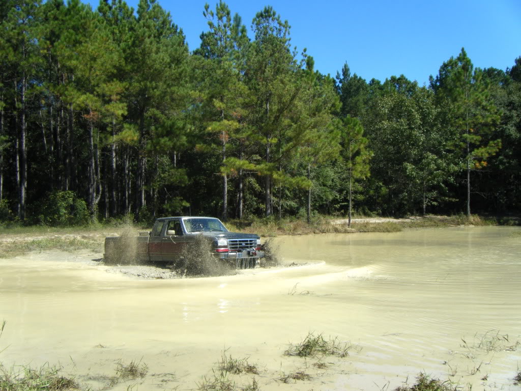 DSCF0337.jpg