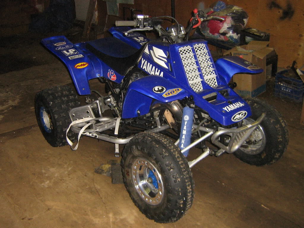 mybanshee003.jpg
