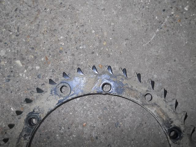 DSCN0485.jpg
