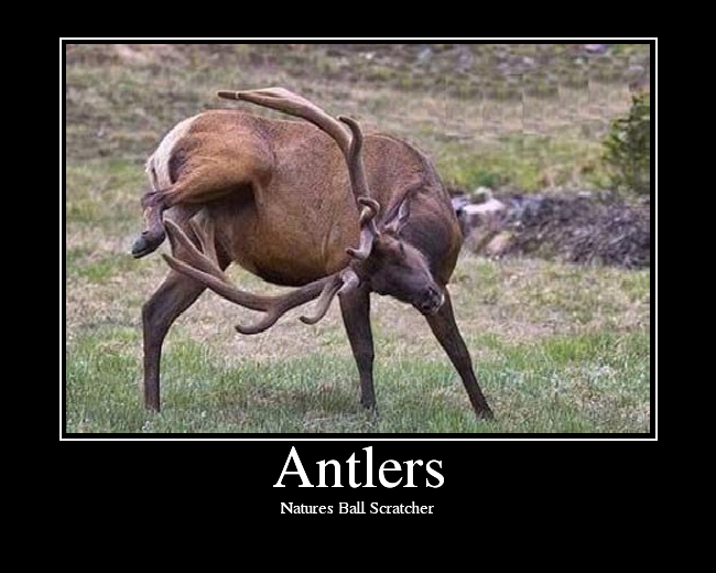 Antlers.png