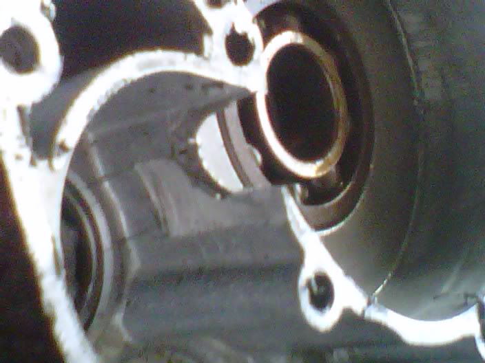 IMG00168-20110329-1842.jpg