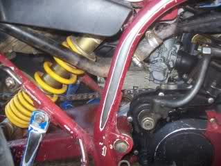 1250qc7.jpg