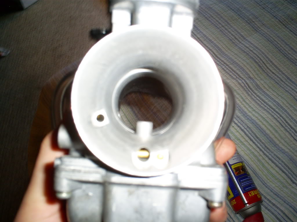 S5030249.jpg