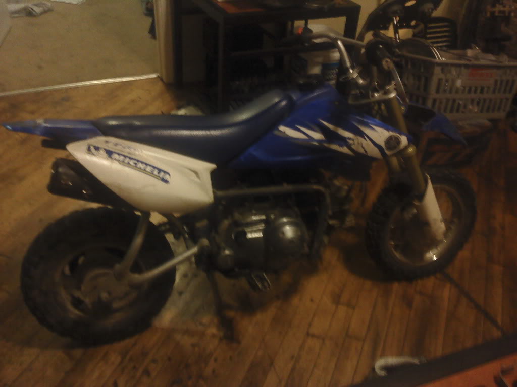 pitbike3.jpg