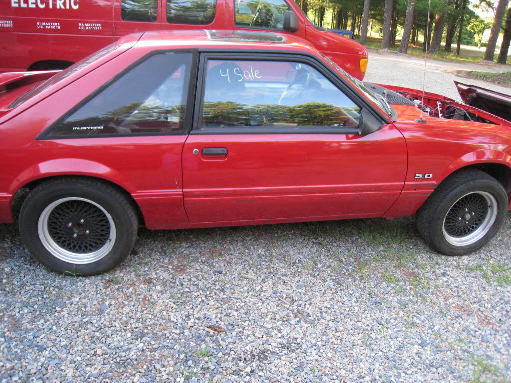 Mustang003.jpg