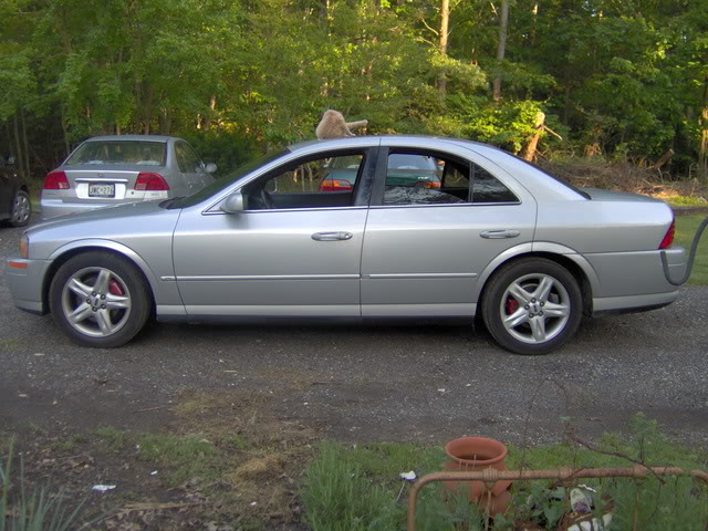 IM000180.jpg