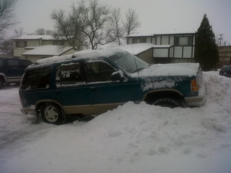 IMG00383-20110201-1619.jpg