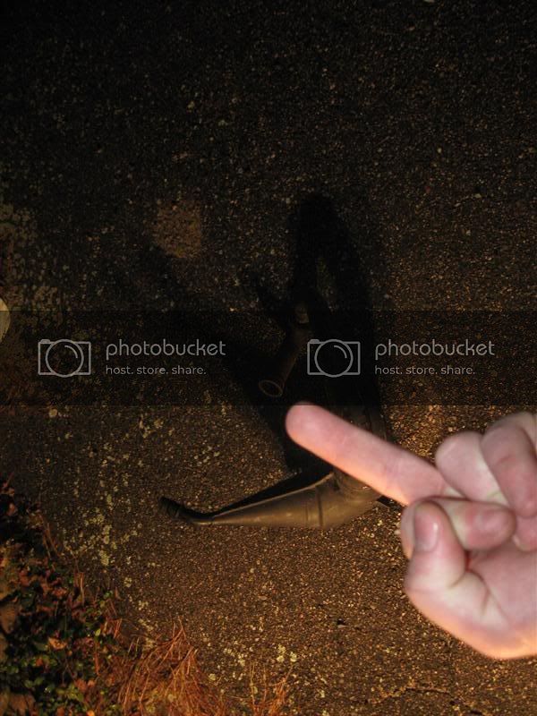 IMG_2804Medium.jpg