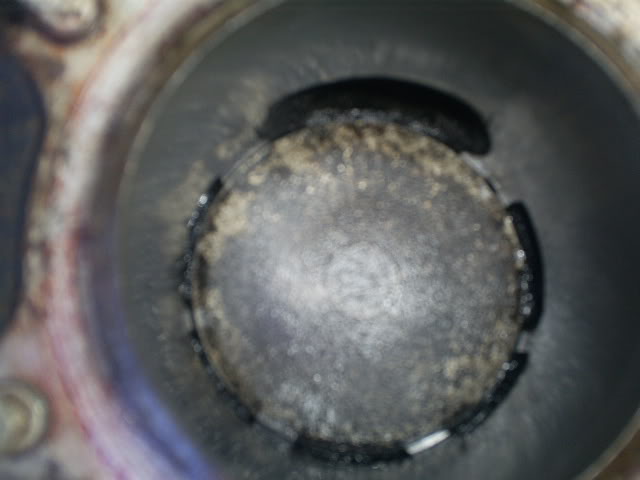 S5031605.jpg
