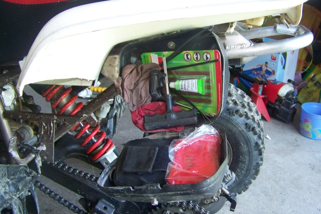 trunk3.jpg