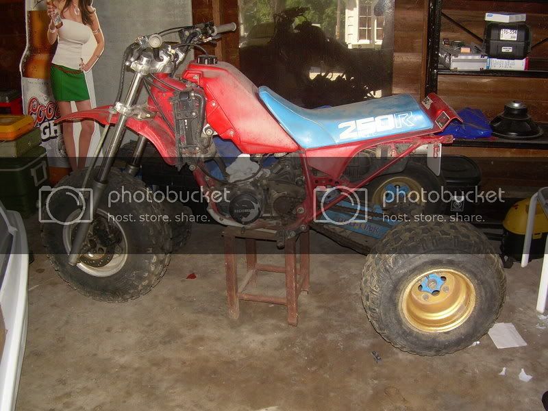 DSCN2850.jpg